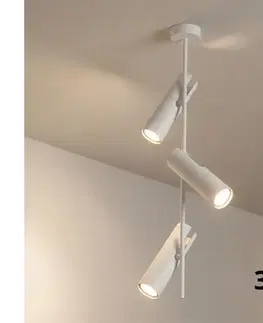 Svietidlá BRILAGI - LED RGBW Stmievateľný luster na tyči BRANCH 3xGU10/6,5W/230V biela BG5260+3xAI0589