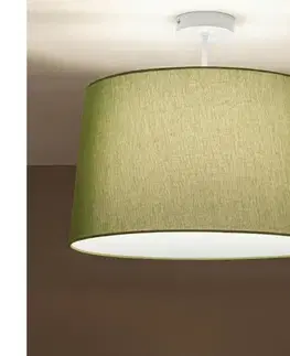 Svietidlá BRILAGI - LED Prisadený luster CERIA 1xE27/60W/230V pr. 45 cm biela/zelená BG3992+EG781045