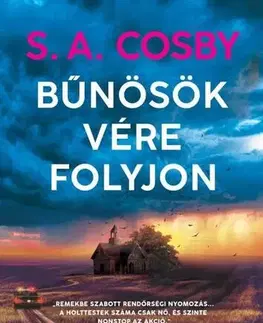 Detektívky, trilery, horory Bűnösök vére folyjon - S. A. Cosby