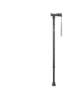 Svietidlá Vitility - Vychádzková palica 71 cm čierna VIT-70510420
