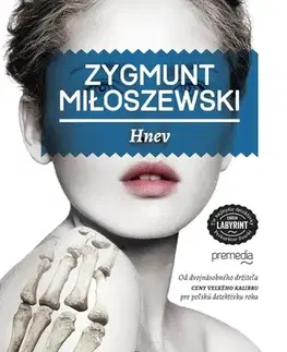 Detektívky, trilery, horory Hnev - Zygmunt Miloszewski