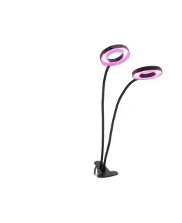 Lampy  LED stolná lampa s klipom pre pestovanie VITARO 2xLED/4W/230V čierna 004015