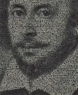Literárna veda, jazykoveda Shakespeare u nás - Ján Vilikovský