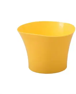 Záhrada Obal Primule 12 cm/žltý