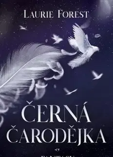 Sci-fi a fantasy Černá čarodějka - Laurie Forest