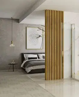 Sprchovacie kúty REA - Sprchovací kút Hugo 80x80 kartáčované zlato REA-K6608