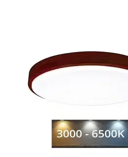 Svietidlá  WLD400-24W/LED/TD