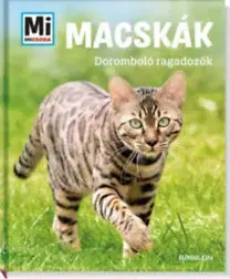 Príroda Macskák - Doromboló ragadozók - Jutta Aurahs
