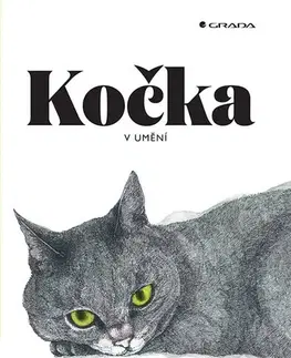 Maliarstvo, grafika Kočka v umění - Angus Hyland,Caroline Roberts