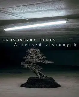 Beletria - ostatné Áttetsző viszonyok - Dénes Krusovszky