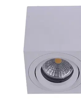 Svietidlá Emithor  - Stropné bodové svietidlo SURFACE 1xGU10/50W/230V 