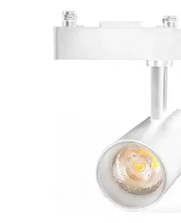 Svietidlá  B.V.  - LED bodové svietidlo pre jednofázový lištový systém LED/24W/230V biela 8433325202224