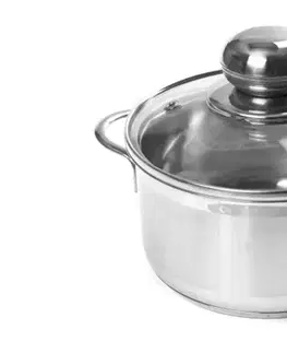 Hrnce SSW - Nerezový hrniec 14cm so sklenenou pokrievkou, 1,2l
