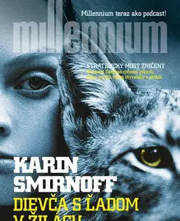 Detektívky, trilery, horory Dievča s ľadom v žilách - Karin Smirnoff