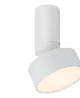 Svietidlá Rabalux 71326 - LED stropné svietidlo OVIDIA LED/10W/230V 3000K biela 71326