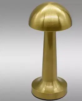 Lampy do obývačky Stolná lampa ISA 49019 GOLD USB LB1