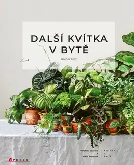 Izbové rastliny Další kvítka v bytě: Ruce od hlíny - Nikol Francová,Veronika Ježková