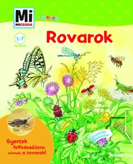 Príroda Rovarok - Kukucskáló ablakokkal - Mi Micsoda Junior - Bärbel Oftring