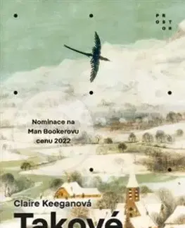 Svetová beletria Takové maličkosti - Claire Keeganová