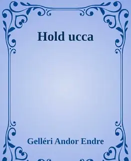 Svetová beletria Hold ucca - Gelléri Andor Endre