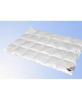 Prikrývky Perový paplón s páperím standard TiaHome - 200x140cm