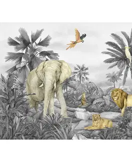 Tapety Detská fototapeta Jungle 252 x 182 cm, 4 diely