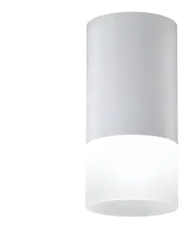 Svietidlá  Bodové svietidlo TUBA 1xGU10/15W/230V šedá/biela 2273686