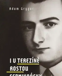 História I v Terezíně rostou sedmikrásky - Adam Grygar