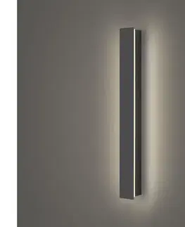 LED osvetlenie BRILAGI - LED vonkajšie nástenné svietidlo LINEAR LED/12W/230V 4000K IP65 antracit BRI282