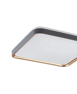 Svietidlá Rabalux 71029 - LED stropné svietidlo LIATRIS LED/26W/230V 3000K 71029