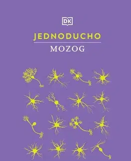 Ľudské telo, človek Jednoducho - Mozog - Kolektív autorov,Petra Rímska