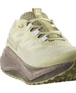 Cesta Salomon Aero Blaze 3 GRVL GTX W Veľkosť: 38 EUR