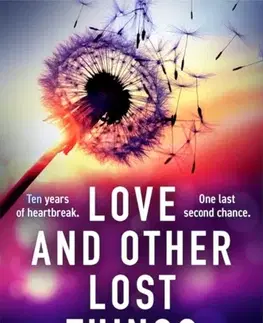 Romantická beletria Love and Other Lost Things - Melissa Wiesner