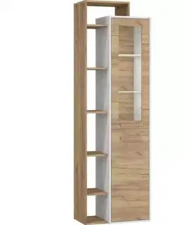 Vitríny a regály do obývačky Vitrína RIO L1D craft biela/zlatý
