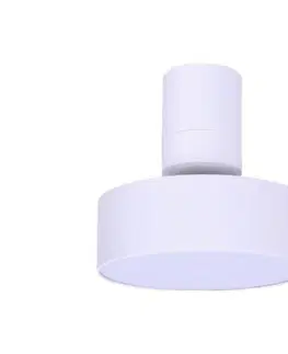 Svietidlá Rabalux 71327 - LED stropné svietidlo OVIDIA LED/16W/230V 3000K biela 71327