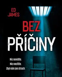 Detektívky, trilery, horory Bez příčiny - Ed James