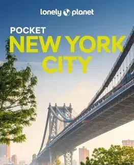 Amerika Lonely Planet Pocket New York City 10