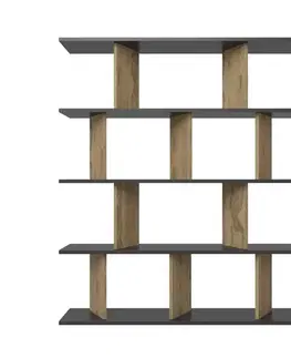 Knižnice Knižnica Grace - Black, Oak