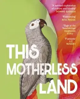 Svetová beletria This Motherless Land - Nikki May