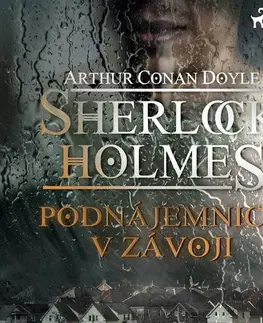 Detektívky, trilery, horory Saga Egmont Podnájemnice v závoji