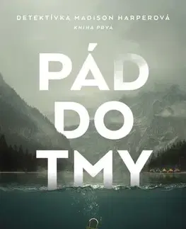 Detektívky, trilery, horory Pád do tmy - Wendy Dranfield