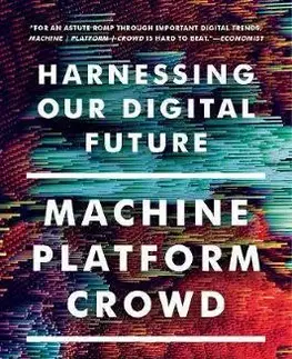 Cudzojazyčná literatúra Machine, Platform, Crowd - Harnessing Our Digital Future - Kolektív autorov