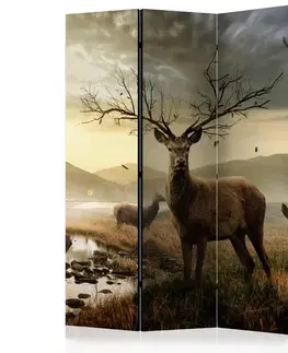 Paravány Paraván Deers by mountain stream Dekorhome