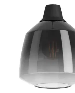 Lampy Eglo - Náhradné dymové sklo Ø 20 cm pre luster na lane SEDBERGH GA00053101