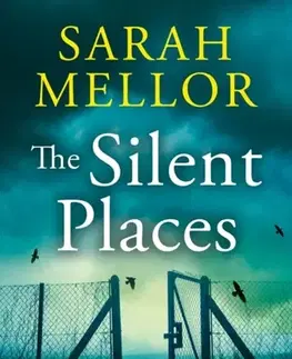 Detektívky, trilery, horory The Silent Places - Sarah Mellor