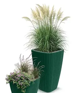 Kvetináče a truhlíky DHOS300-2411U plastový kvetináč 29 cm borovicovo zelená