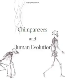 Prírodné vedy - ostatné Chimpanzees and Human Evolution - Martin N. Muller,Richard W. Wrangham,David R. Pilbeam