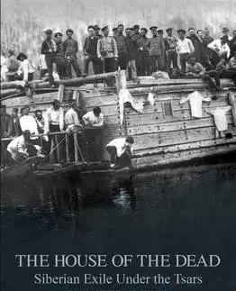 História - ostatné The House of the Dead - Daniel Beer