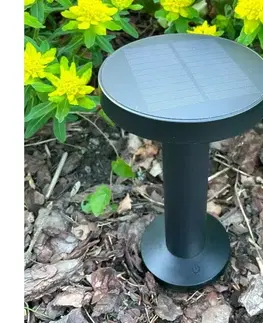 Záhradné lampy Zuma Line DT33611 - LED Solárna lampa CARLI LED/2W/2000 mAh IP44 čierna DT33611