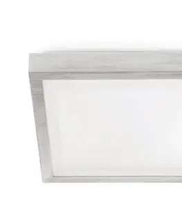 Svietidlá FARO Barcelona FARO 62983 - Stropné svietidlo TOLA 1 1xE27/20W/230V 62983